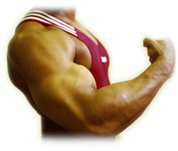 Hardgainer